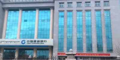 中國建設銀行西藏分行動環(huán)監(jiān)控項目